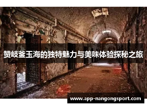 赞岐釜玉海的独特魅力与美味体验探秘之旅